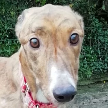 2022-01-ClaytonQuadrat