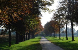 2022-12-Spaziergang-Oesterreich02