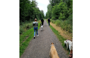 2022 12 Spaziergang_Ruhrpott02