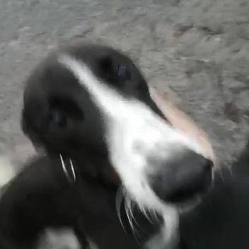 2023 01 Frankie_quadrat