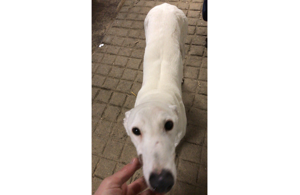 2023 01 Moonveen_Sunrise01