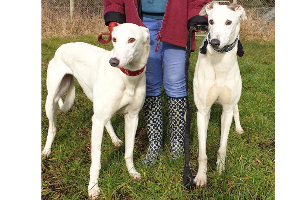 2023 02 BlizzardMagic