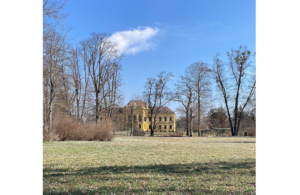 2023 03 Spaziergang Eckartsau