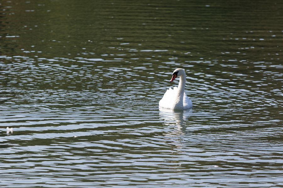 AN4A9612_web