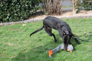 2020-03-07_Margo06