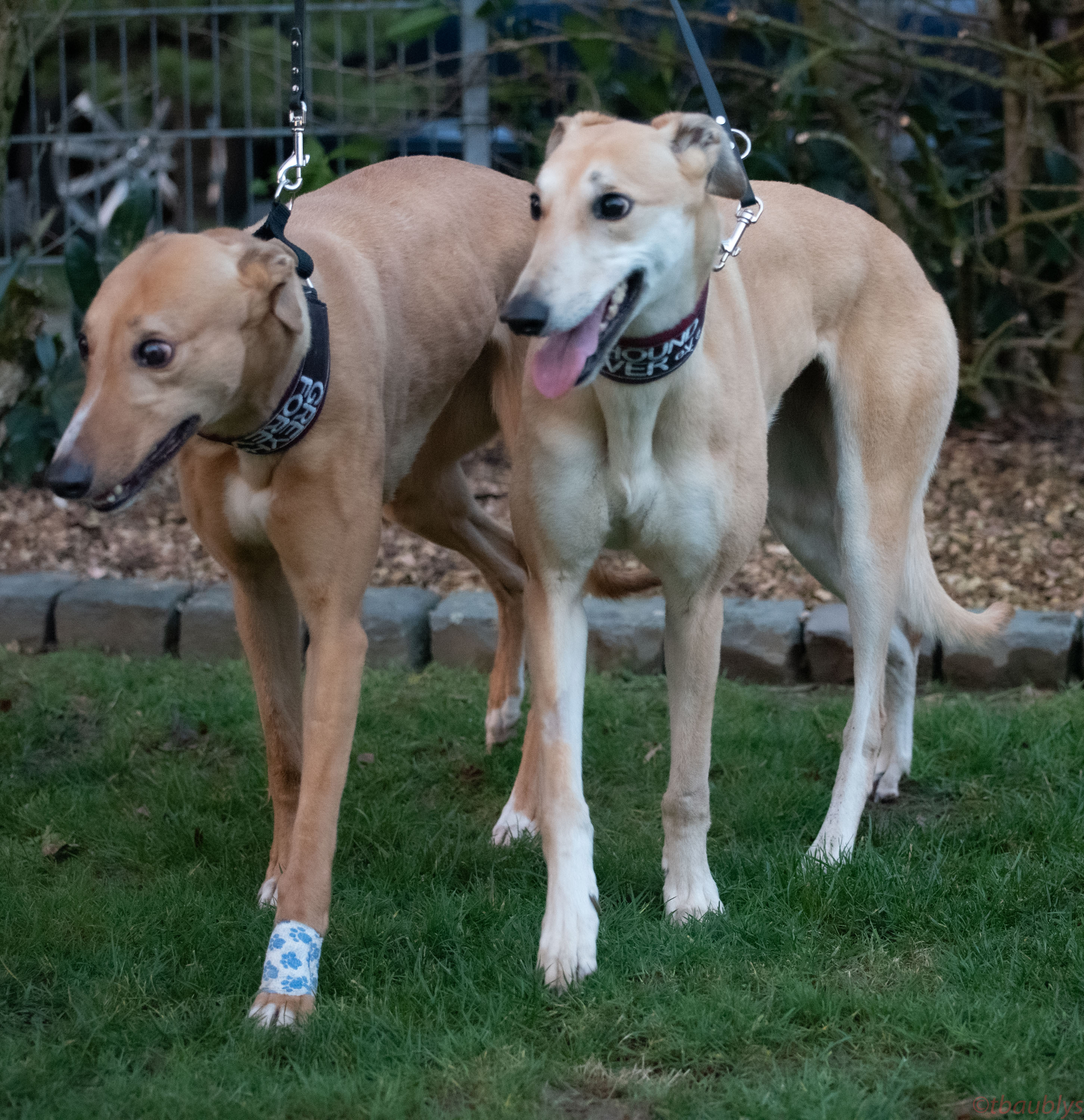 Tori_Jade_18_01_2020-4