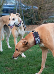 Tori_Jade_18_01_2020-5