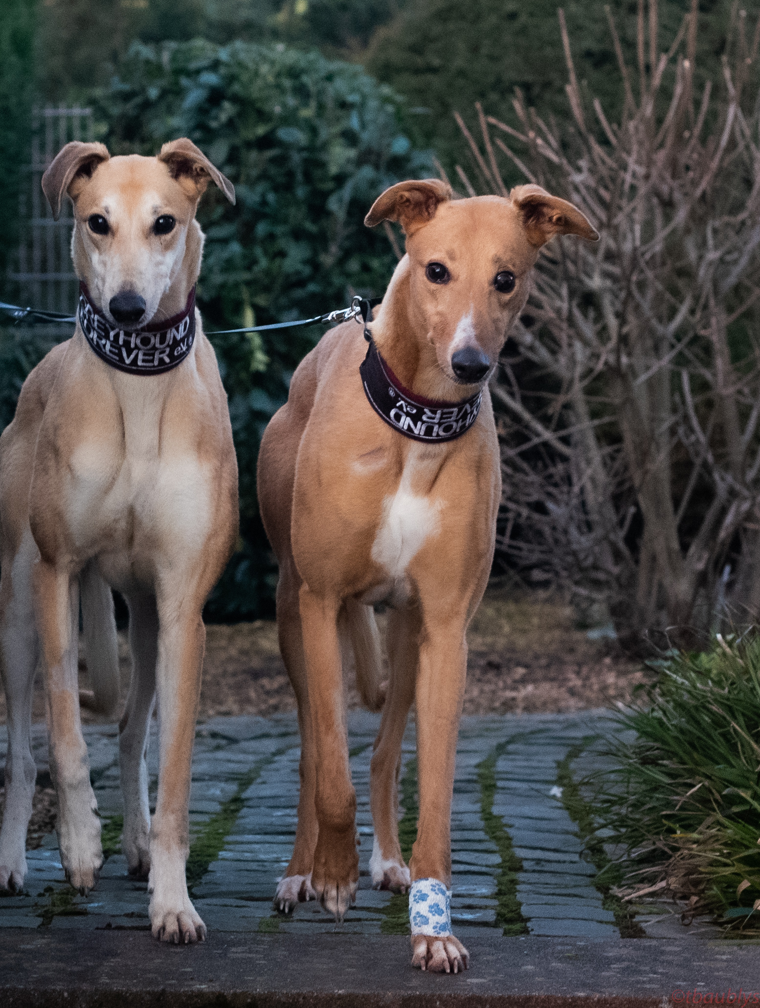 Tori_Jade_18_01_2020-6