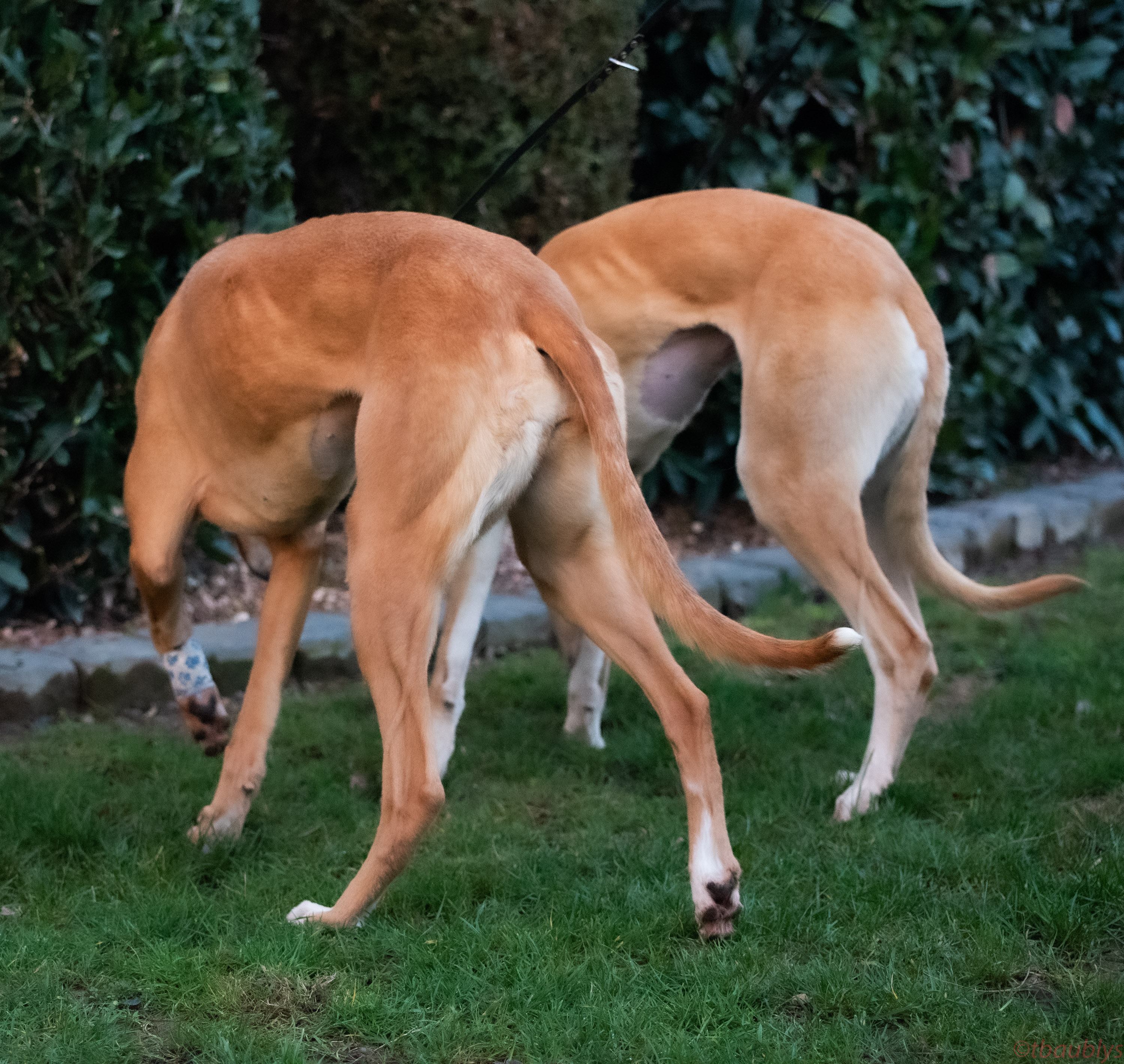 Tori_Jade_18_01_2020